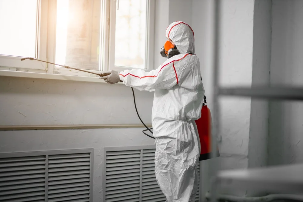 Professional mold remediation services in Helmetta, NJ